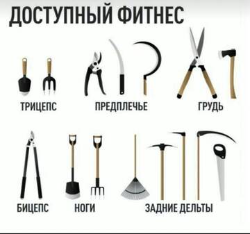 https://forumupload.ru/uploads/001a/b1/70/111/t876070.jpg