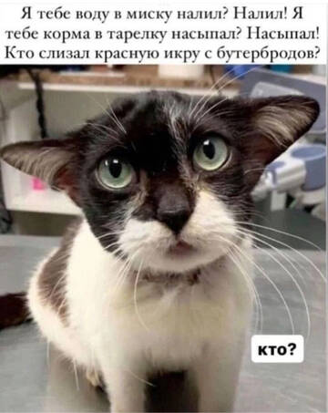 https://forumupload.ru/uploads/001a/b7/49/198/t21730.jpg