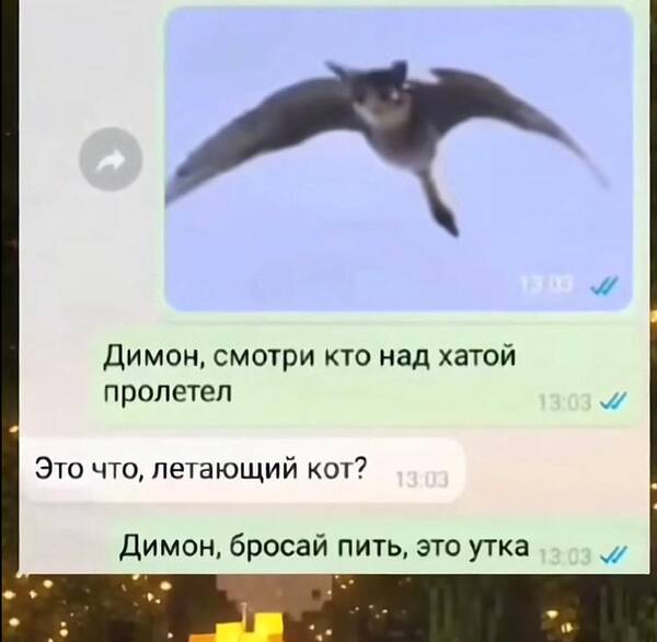 https://forumupload.ru/uploads/001a/b7/49/250/t187437.jpg