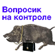 https://forumupload.ru/uploads/001a/b7/b5/5/984039.png
