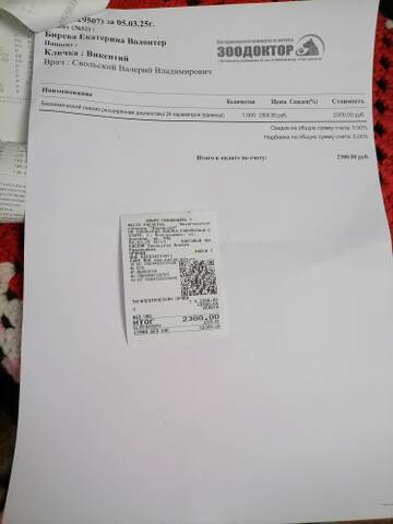 https://forumupload.ru/uploads/001a/b9/46/40/t817009.jpg