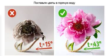https://forumupload.ru/uploads/001a/d8/57/166/t893007.jpg