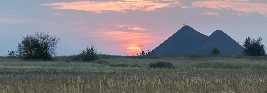 https://forumupload.ru/uploads/001a/d8/57/435/596335.png