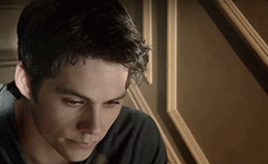 https://forumupload.ru/uploads/001a/de/56/24/497733.gif