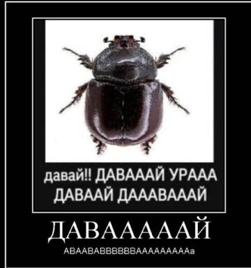https://forumupload.ru/uploads/001a/e7/0d/60/t706027.jpg
