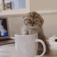 https://forumupload.ru/uploads/001a/e7/a4/14/t986959.gif