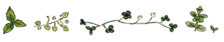 https://forumupload.ru/uploads/001a/e7/a4/76/797804.png