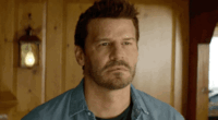 https://forumupload.ru/uploads/001a/e7/a4/777/t60709.gif