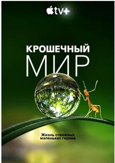 https://forumupload.ru/uploads/001a/f0/62/2/t756247.jpg