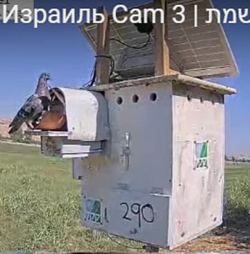 https://forumupload.ru/uploads/001a/f0/62/7/t35614.png