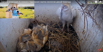 https://forumupload.ru/uploads/001a/f0/62/7/t631869.png