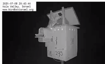 https://forumupload.ru/uploads/001a/f0/62/7/t939544.png