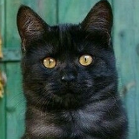 https://forumupload.ru/uploads/001a/f4/24/694/447867.png