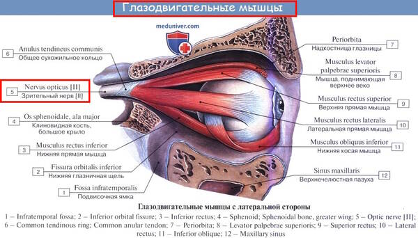 https://forumupload.ru/uploads/001a/f5/a1/2/t977645.jpg