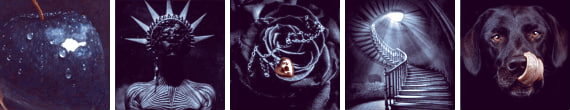 https://forumupload.ru/uploads/001a/fa/19/67/837221.png