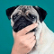 https://forumupload.ru/uploads/001b/0f/31/2/947293.gif