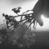 https://forumupload.ru/uploads/001b/1a/5a/58/t309274.gif