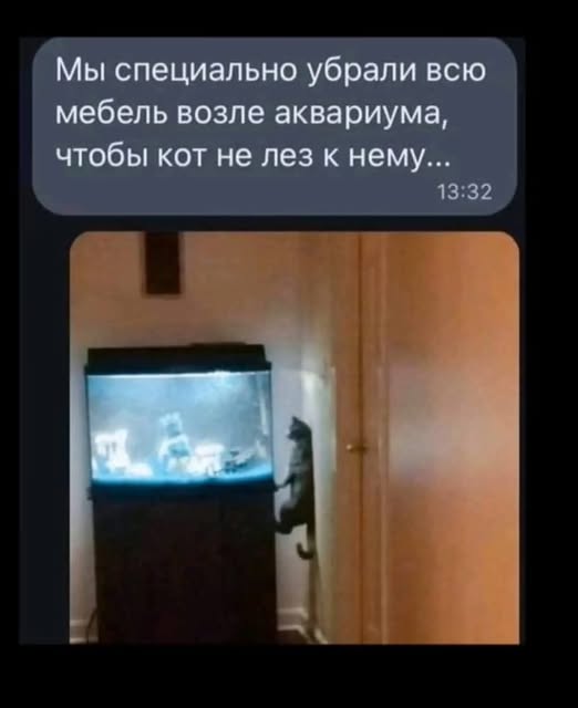 https://forumupload.ru/uploads/001b/2e/23/66/t671557.jpg