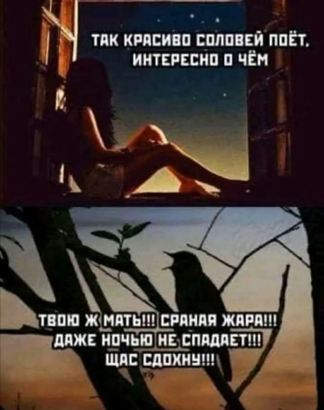 https://forumupload.ru/uploads/001b/2e/56/4/278297.png