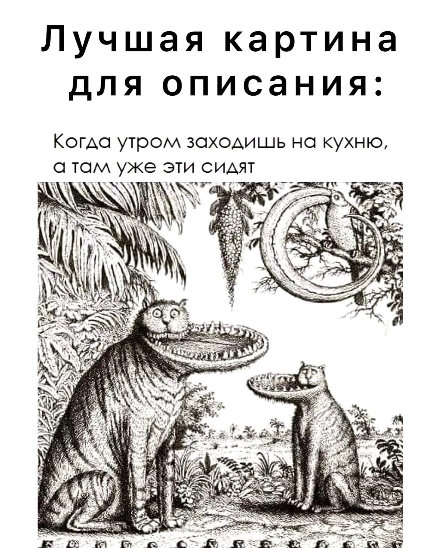 https://forumupload.ru/uploads/001b/2e/56/4/79833.png