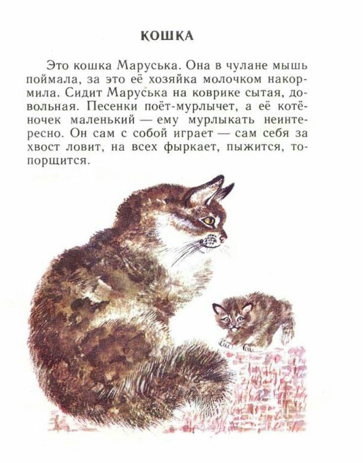 https://forumupload.ru/uploads/001b/2e/56/5/391196.jpg