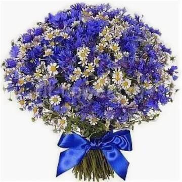 https://forumupload.ru/uploads/001b/32/a3/41/t688509.jpg