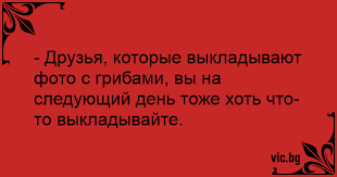 https://forumupload.ru/uploads/001b/4f/36/11/t858345.png