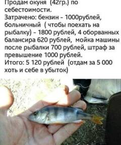 https://forumupload.ru/uploads/001b/4f/36/25/t15457.jpg