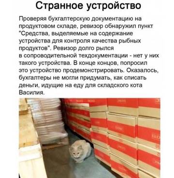https://forumupload.ru/uploads/001b/4f/36/25/t418835.jpg