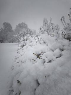 https://forumupload.ru/uploads/001b/4f/36/25/t55955.jpg