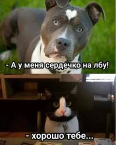 https://forumupload.ru/uploads/001b/4f/36/25/t900517.jpg