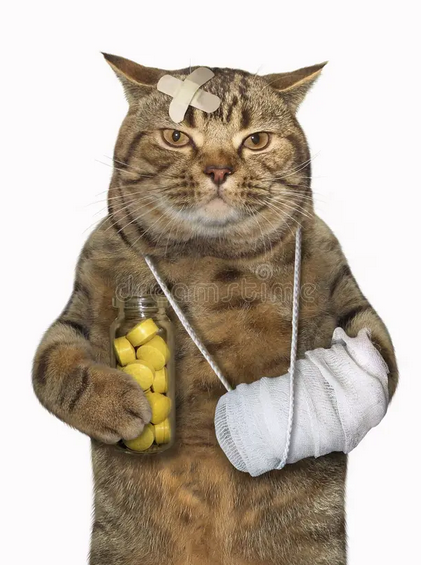 https://forumupload.ru/uploads/001b/56/22/9/913176.png