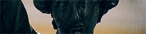https://forumupload.ru/uploads/001b/5e/12/4/501936.gif