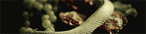 https://forumupload.ru/uploads/001b/5e/12/4/541631.gif
