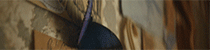 https://forumupload.ru/uploads/001b/5e/12/4/587368.gif