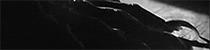 https://forumupload.ru/uploads/001b/5e/12/4/927354.gif