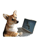 https://forumupload.ru/uploads/001b/71/f6/6/t685663.png