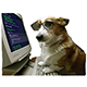https://forumupload.ru/uploads/001b/71/f6/6/t787504.png