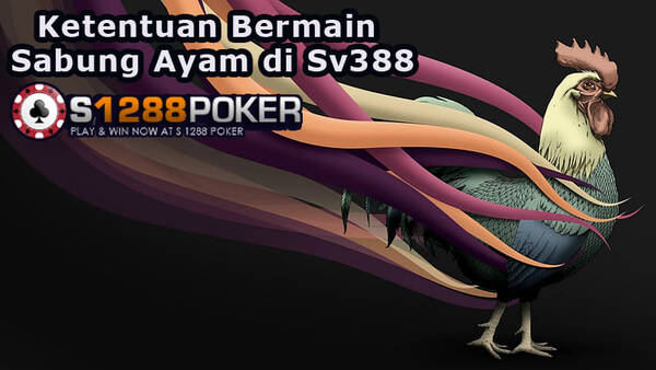 BERMAIN AYAM DI SV388 S128CASH MENANGKAN 7X BERUNTUN  T279515