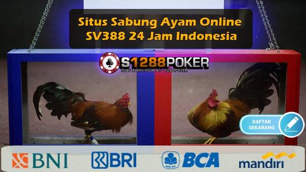 SITUS SABUNG AYAM ONLINE SV388 24JAM INDONESIAv T831402