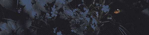 https://forumupload.ru/uploads/001b/79/90/2/237590.png
