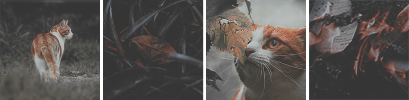 https://forumupload.ru/uploads/001b/79/90/2/238126.png