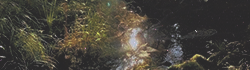 https://forumupload.ru/uploads/001b/79/90/2/258294.png
