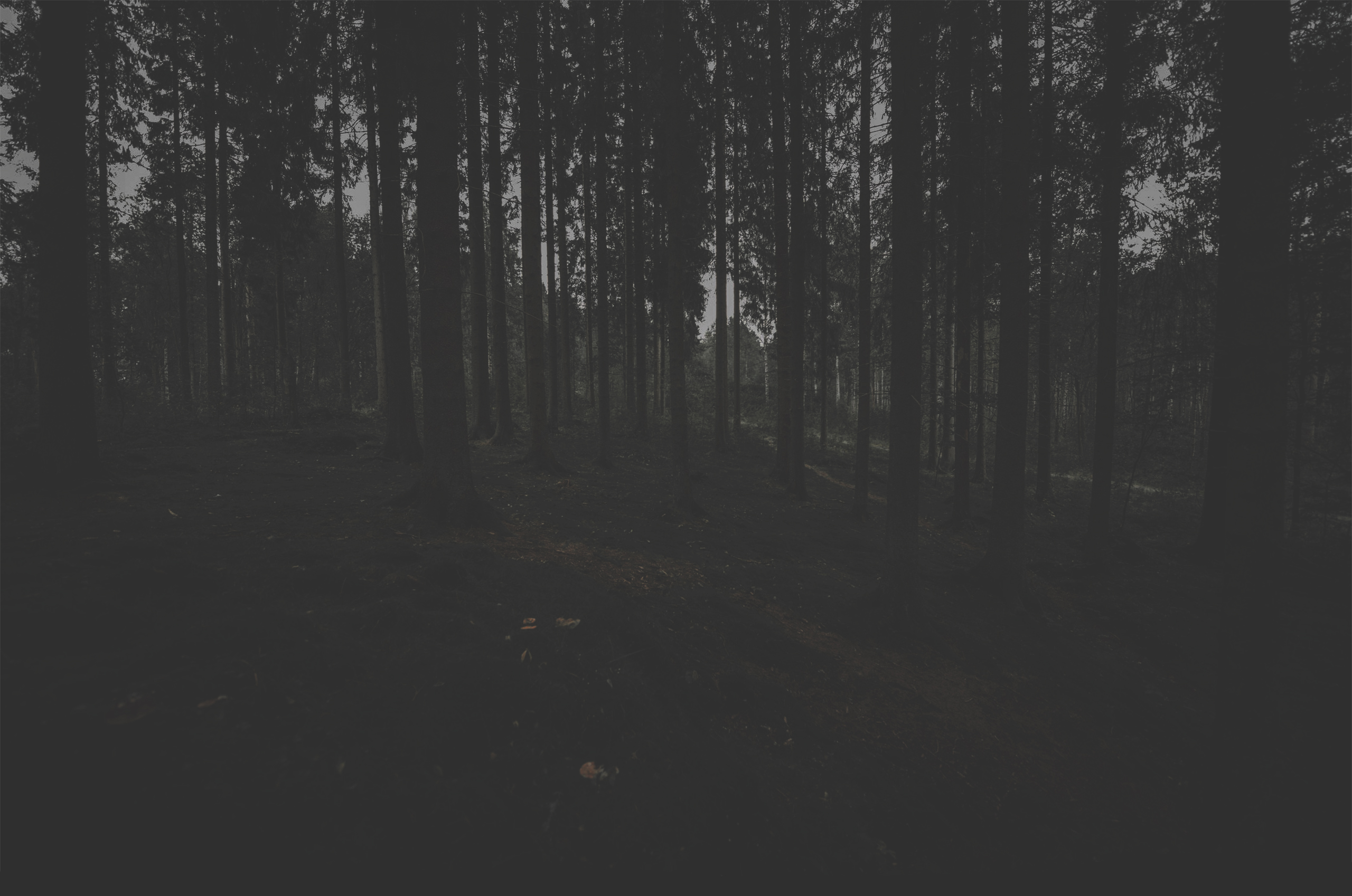 https://forumupload.ru/uploads/001b/79/90/2/743093.jpg