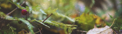 https://forumupload.ru/uploads/001b/79/90/2/762467.png