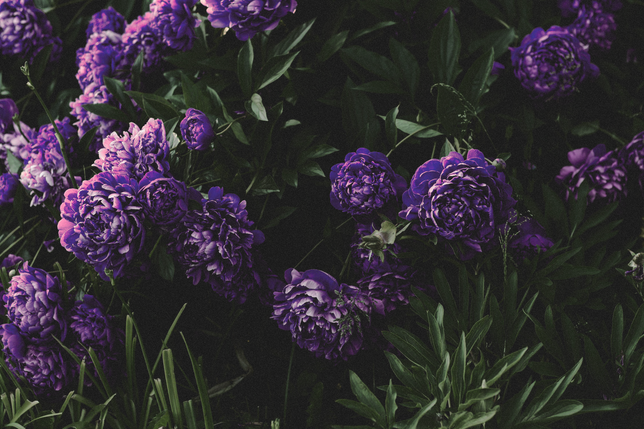 https://forumupload.ru/uploads/001b/79/90/2/92931.png