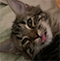 https://forumupload.ru/uploads/001b/79/b8/61/t466031.png