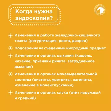 https://forumupload.ru/uploads/001b/8e/2e/2/t616545.webp