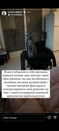 https://forumupload.ru/uploads/001b/92/d8/1041/t104136.png