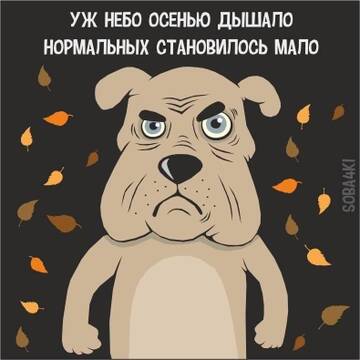 https://forumupload.ru/uploads/001b/92/d8/1131/t374267.jpg